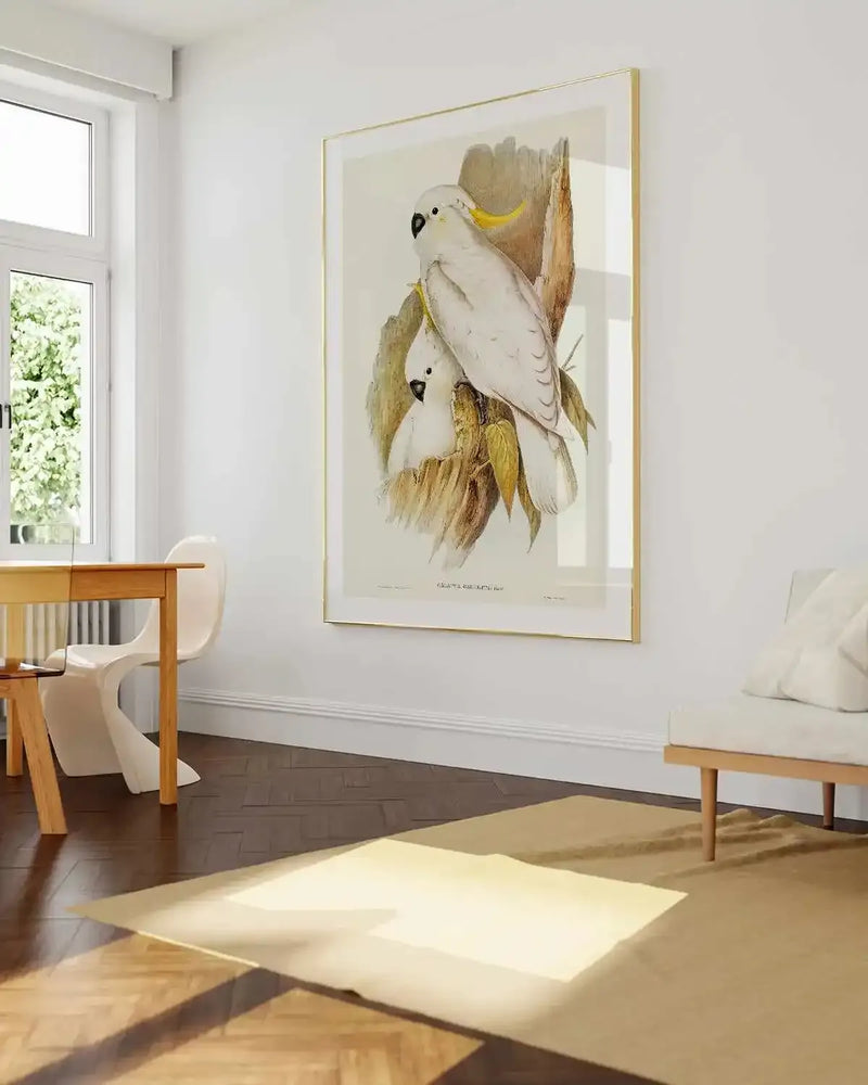 Yellow Crested Cockatoo Vintage Australian Bird Illustration Art Print from Olive et Oriel where you can shop wallpaper and artworks online