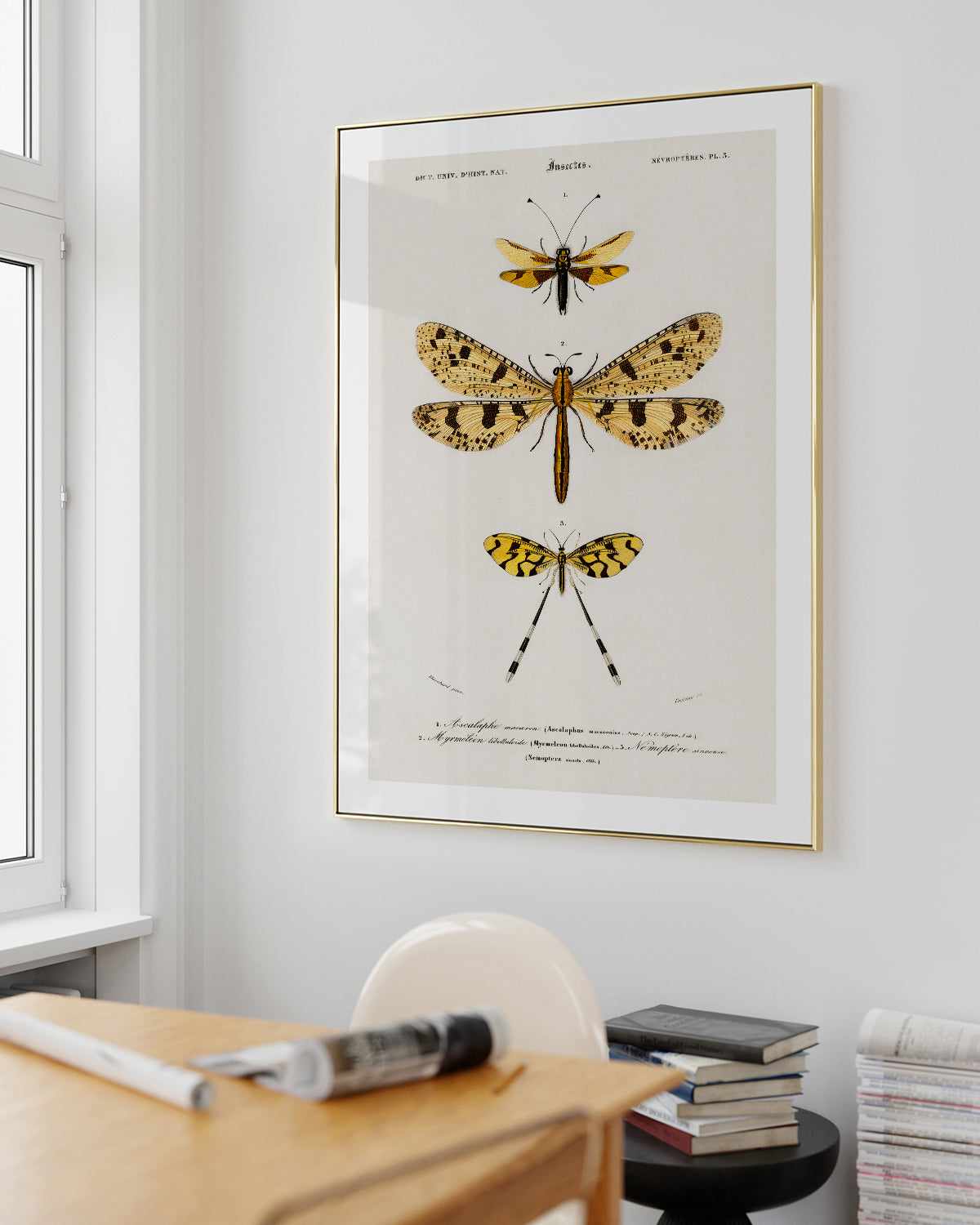 Yellow Insects Vintage Illustration Art Print