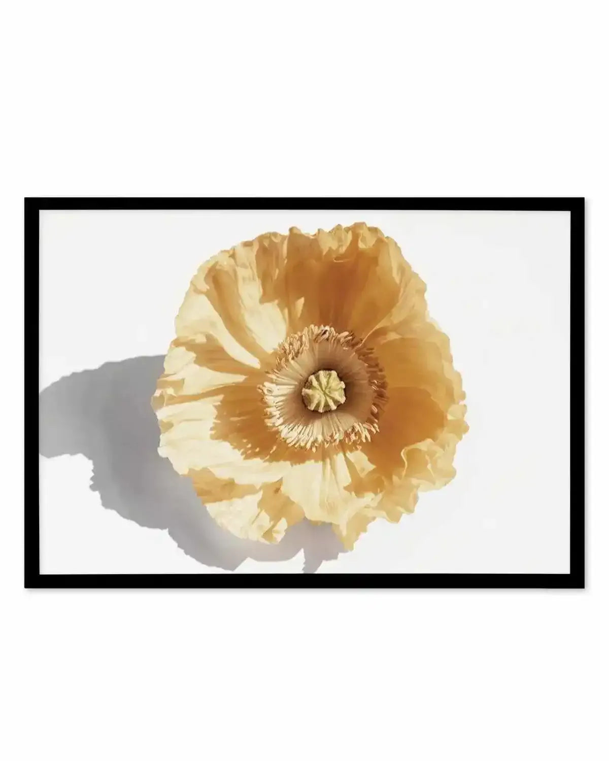 Yellow Poppy Art Print from Olive et Oriel where you can shop wallpaper and artworks online