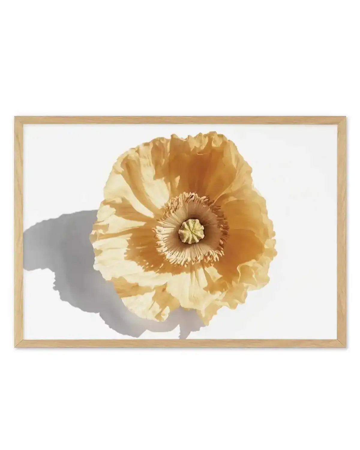 Yellow Poppy Art Print from Olive et Oriel where you can shop wallpaper and artworks online