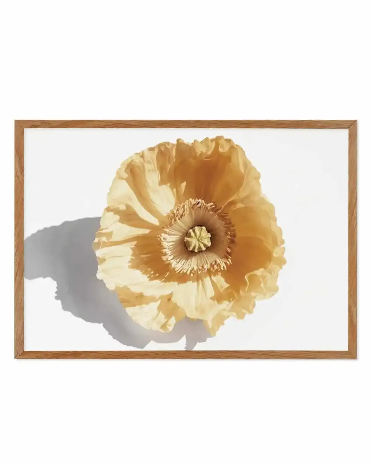Yellow Poppy Art Print from Olive et Oriel where you can shop wallpaper and artworks online