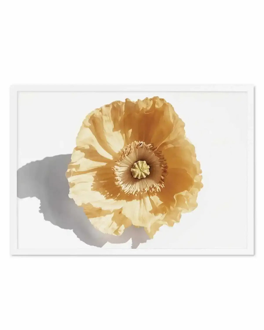 Yellow Poppy Art Print from Olive et Oriel where you can shop wallpaper and artworks online