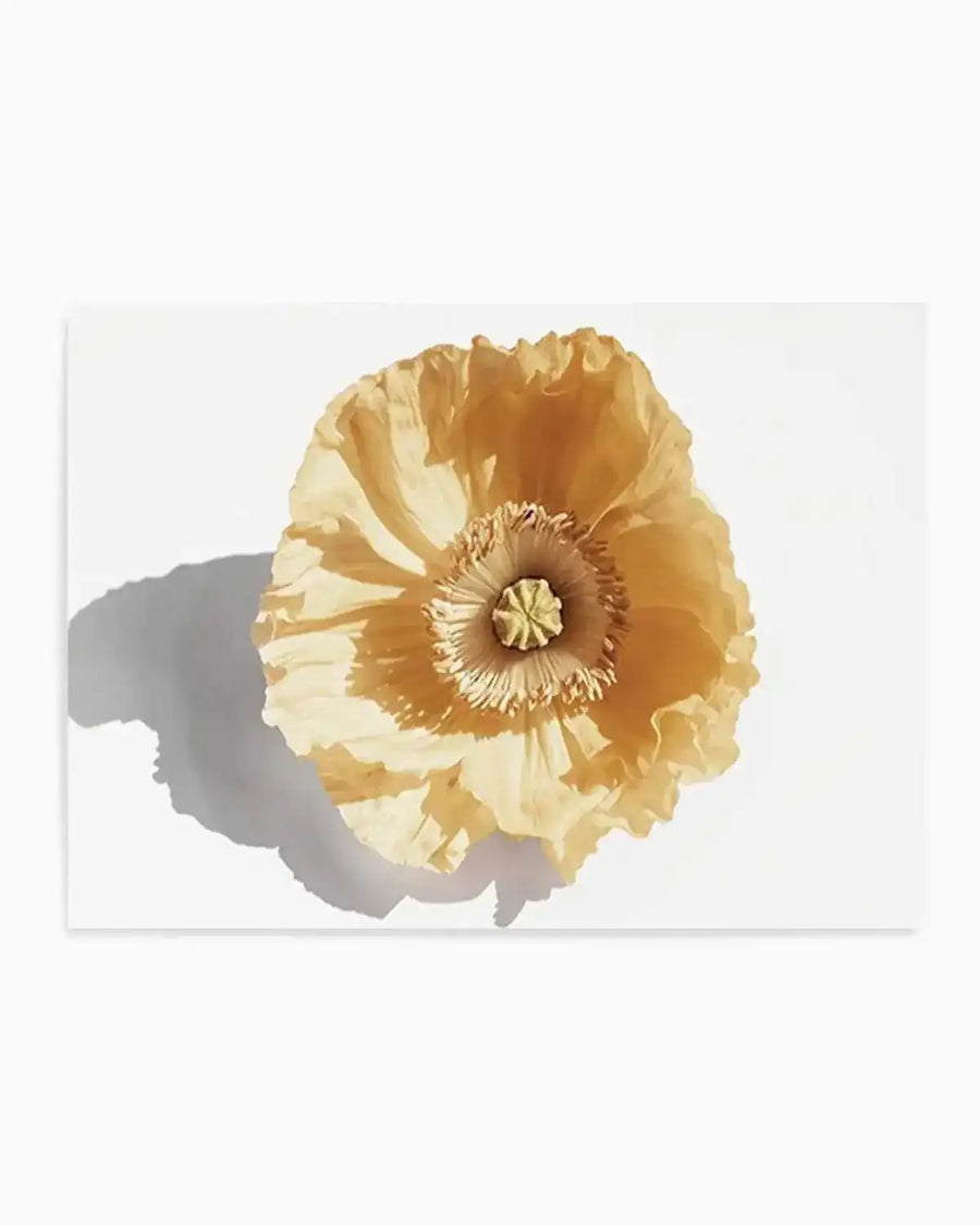 Yellow Poppy Art Print from Olive et Oriel where you can shop wallpaper and artworks online