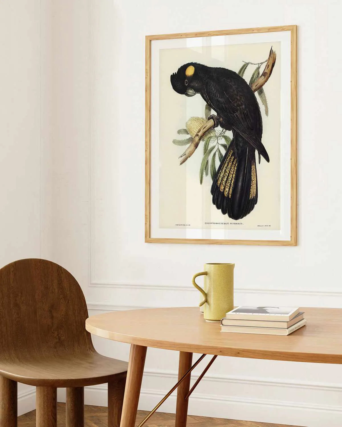 Yellow Tailed Black Cockatoo Vintage Australian Bird Illustration Art Print from Olive et Oriel where you can shop wallpaper and artworks online