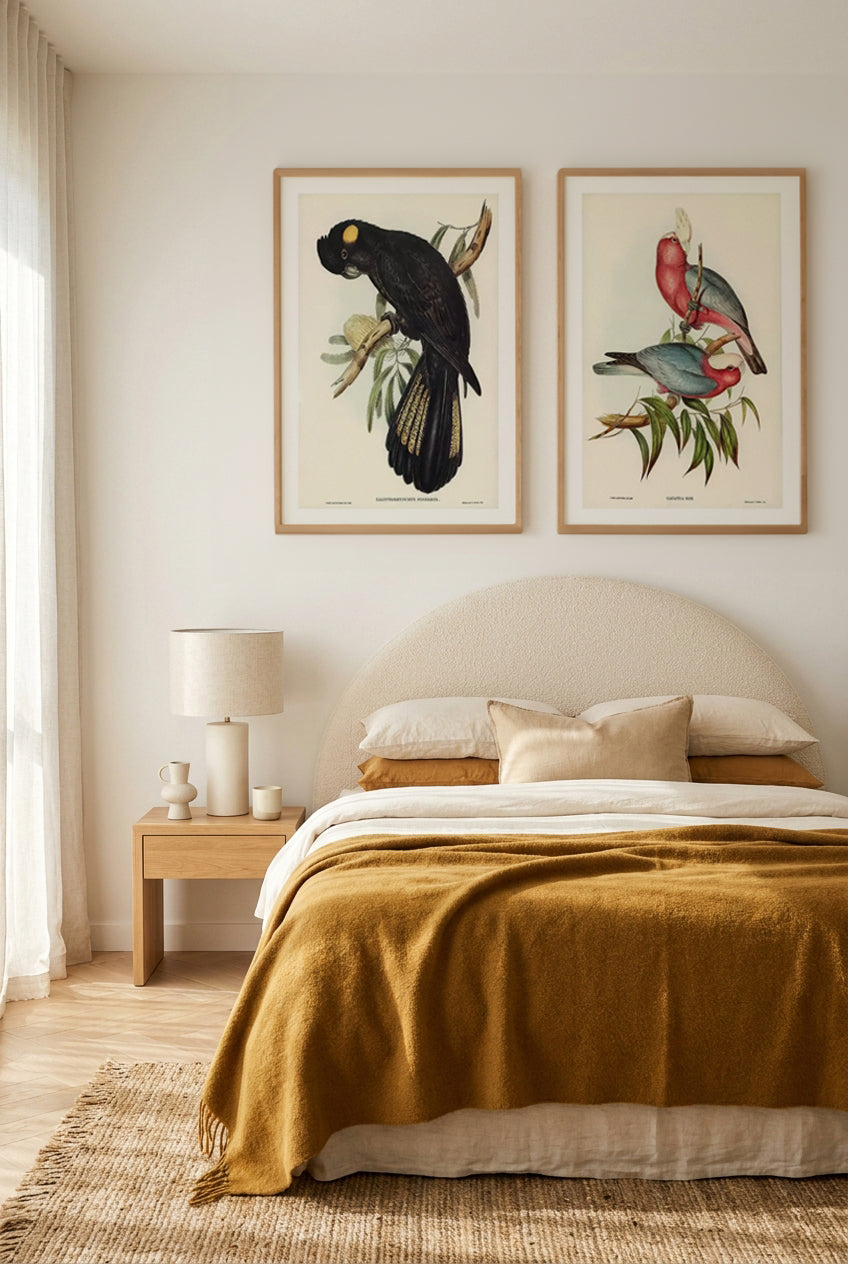 Yellow Tailed Black Cockatoo & Pink Gallah Vintage Australian Bird Art Print Set of 2 | Matching Wall Art
