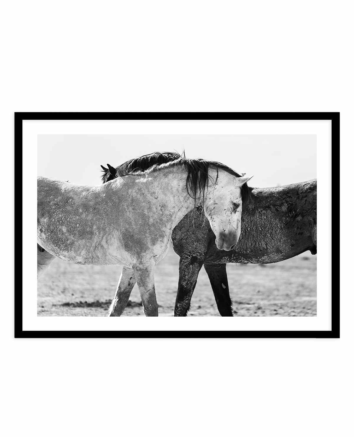 Yin Yang by Rylee Olsen | Art Print from Olive et Oriel where you can shop wallpaper and artworks online