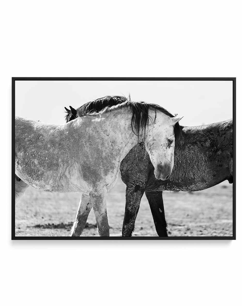 Yin Yang by Rylee Olsen | Framed Canvas Art Print from Olive et Oriel where you can shop wallpaper and artworks online