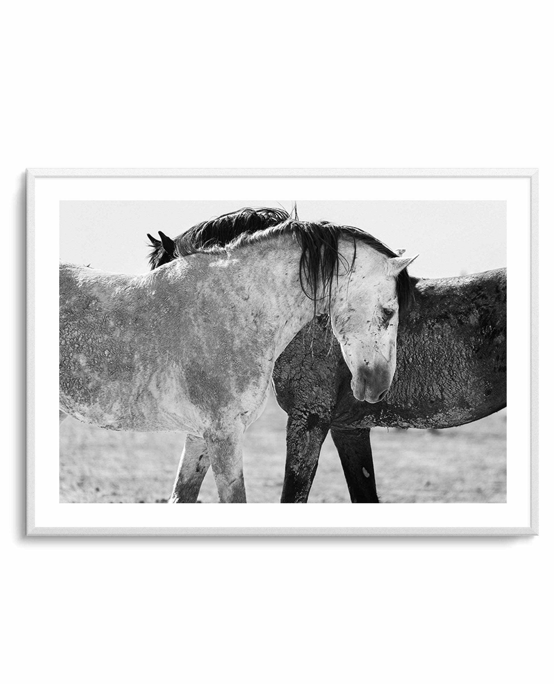 Yin Yang by Rylee Olsen | Art Print from Olive et Oriel where you can shop wallpaper and artworks online