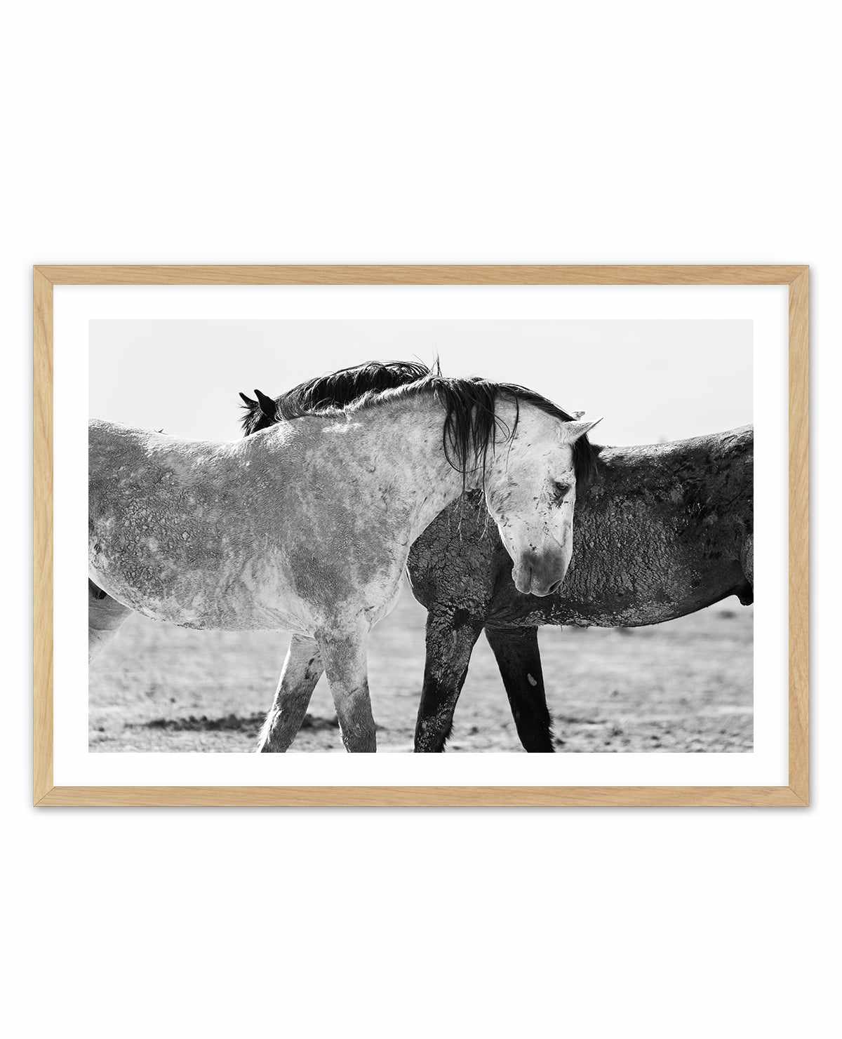 Yin Yang by Rylee Olsen | Art Print from Olive et Oriel where you can shop wallpaper and artworks online