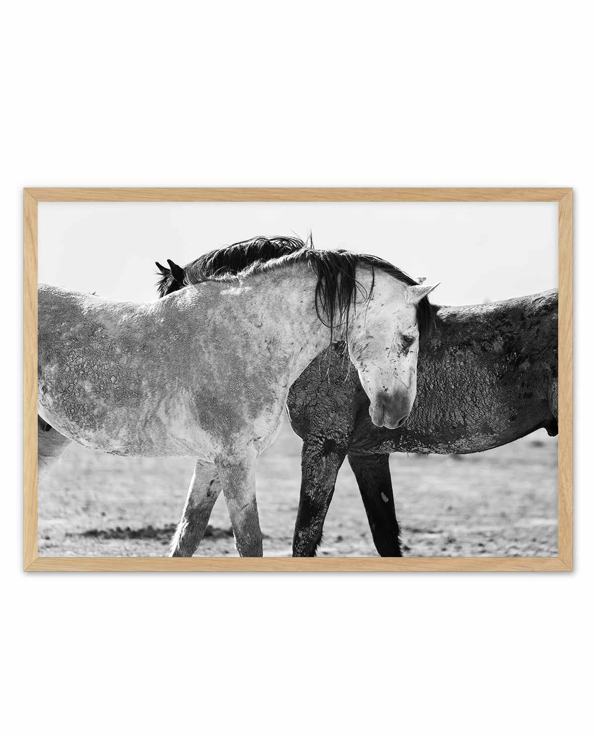 Yin Yang by Rylee Olsen | Art Print from Olive et Oriel where you can shop wallpaper and artworks online