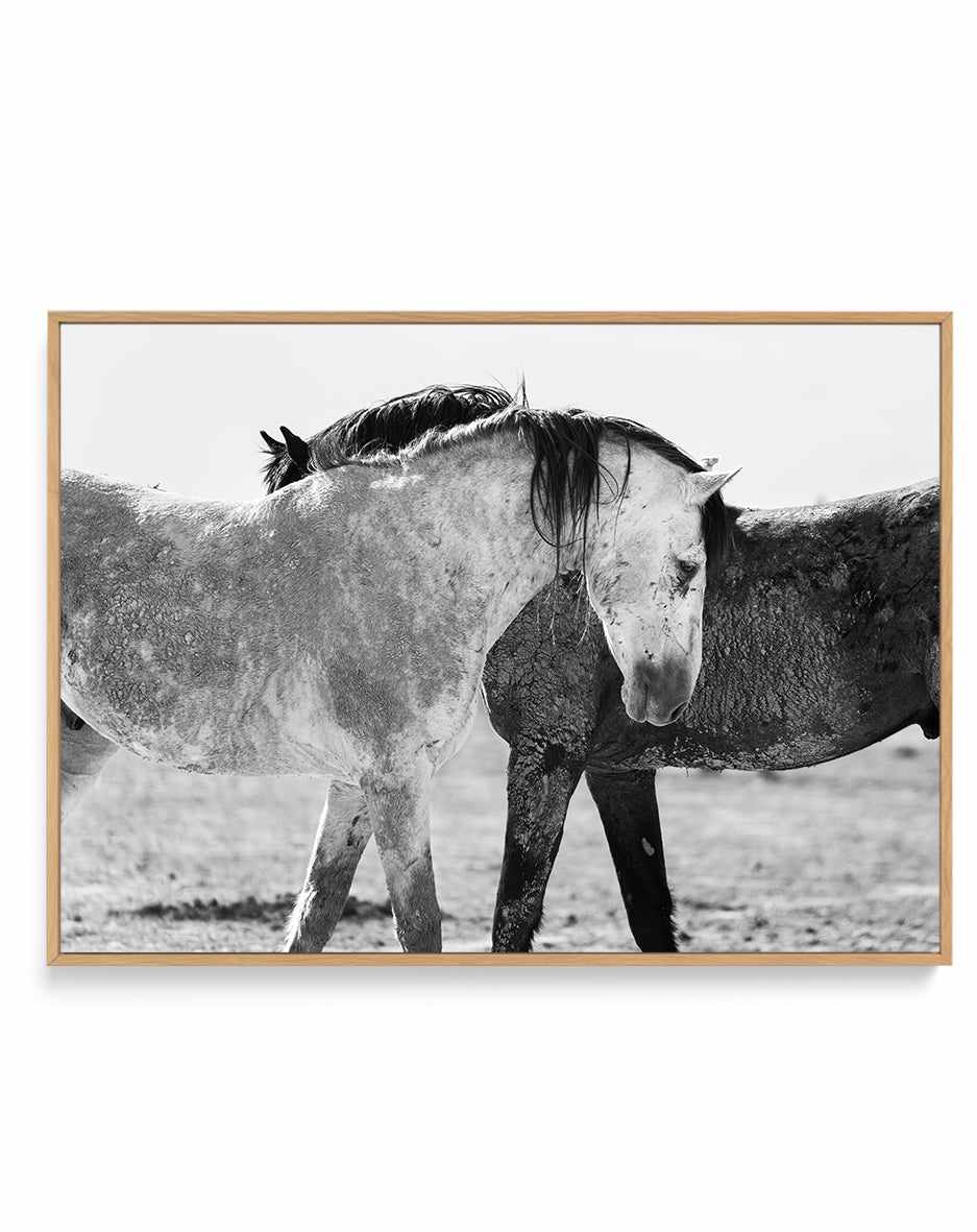 Yin Yang by Rylee Olsen | Framed Canvas Art Print from Olive et Oriel where you can shop wallpaper and artworks online