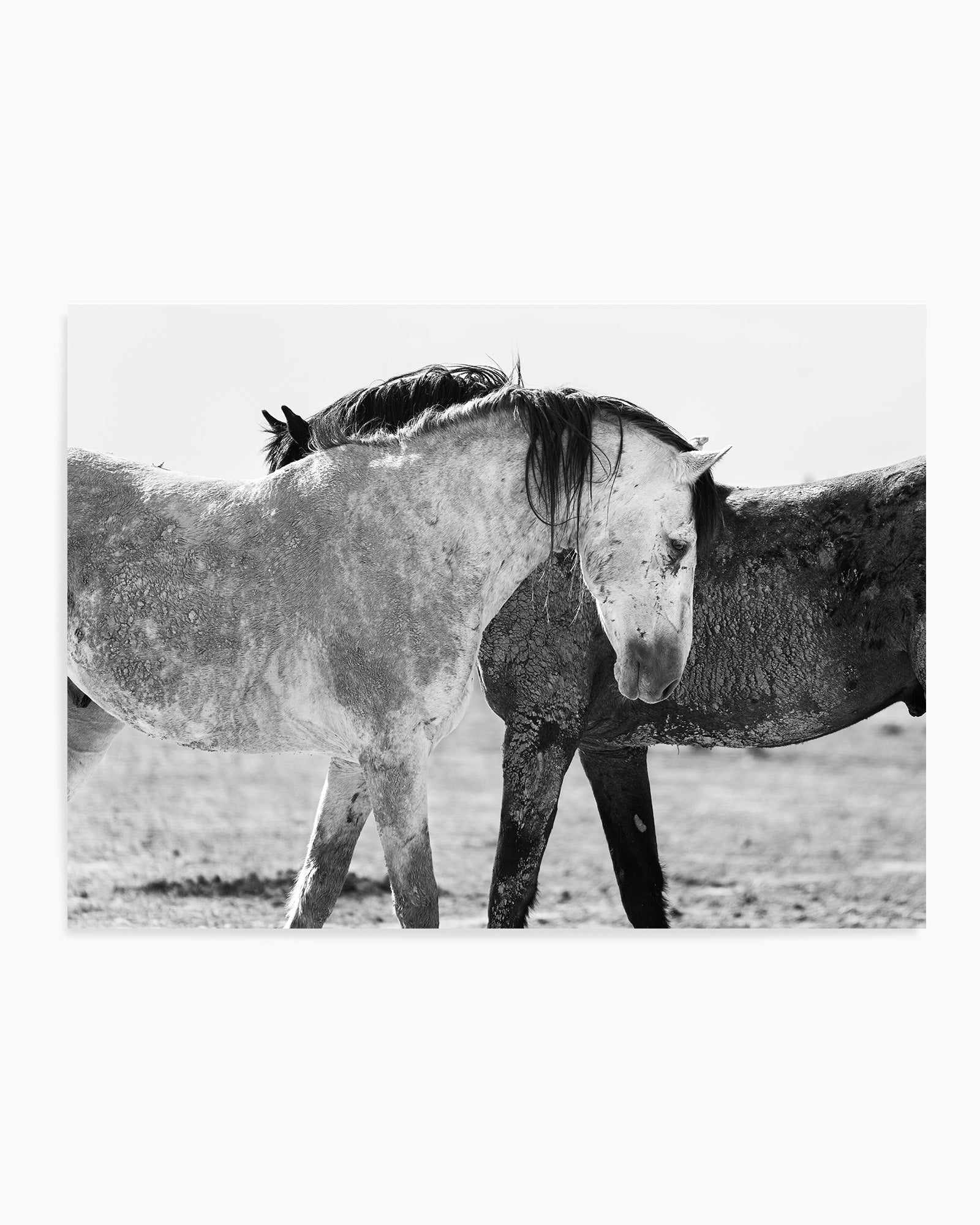 Yin Yang by Rylee Olsen | Art Print from Olive et Oriel where you can shop wallpaper and artworks online