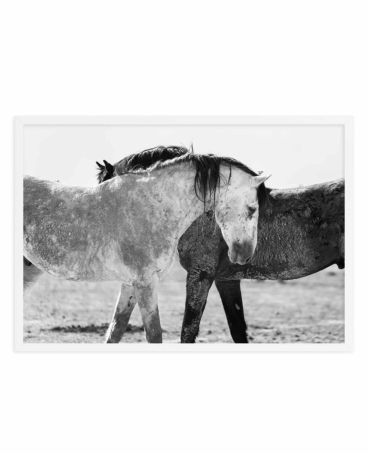 Yin Yang by Rylee Olsen | Art Print from Olive et Oriel where you can shop wallpaper and artworks online