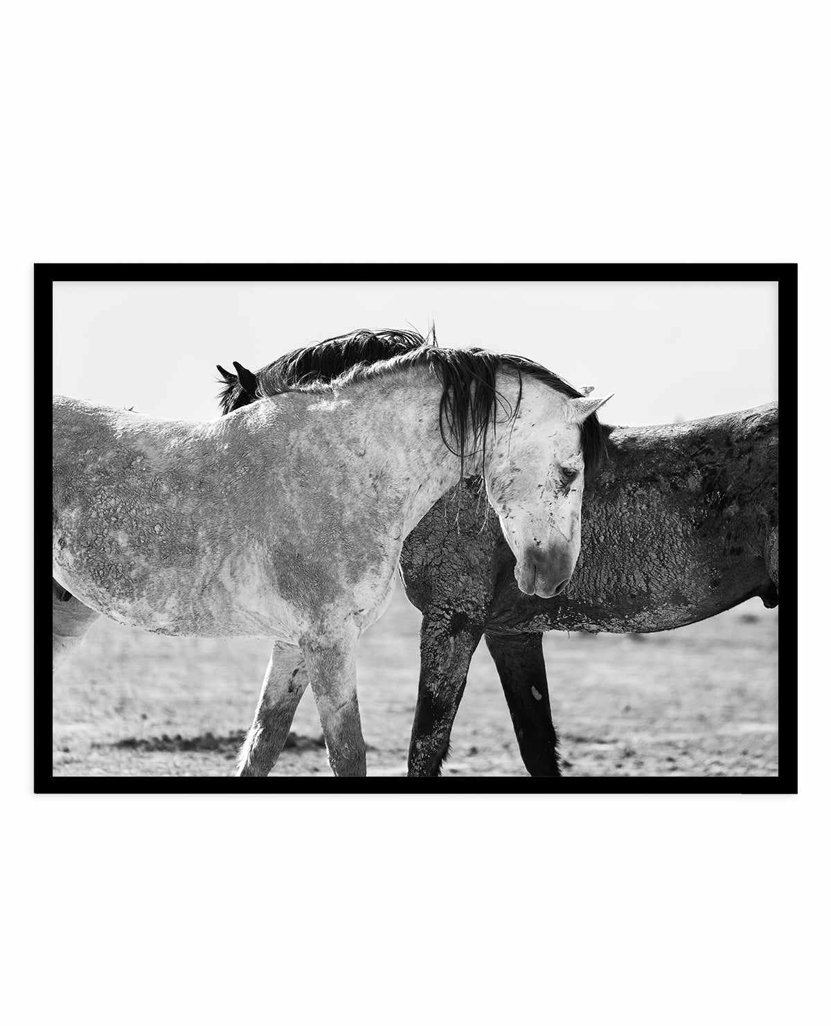 Yin Yang by Rylee Olsen | Art Print from Olive et Oriel where you can shop wallpaper and artworks online