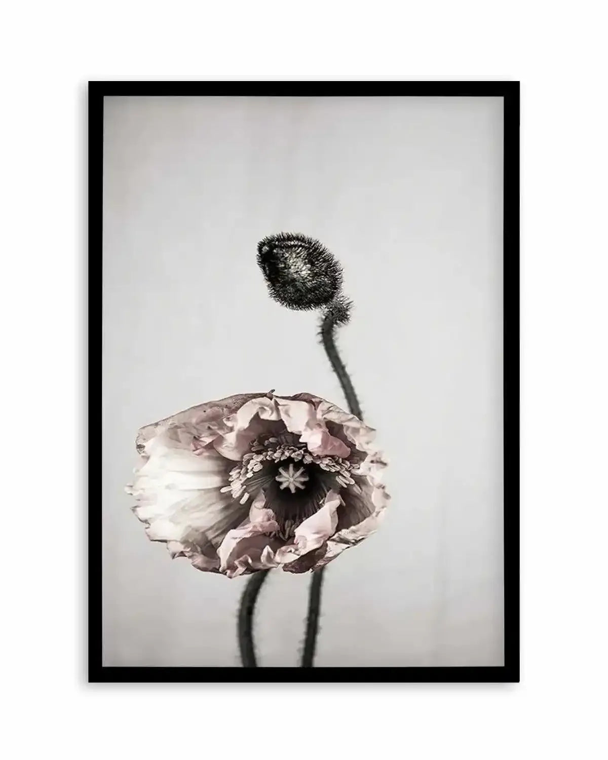 You're All I Need Art Print from Olive et Oriel where you can shop wallpaper and artworks online