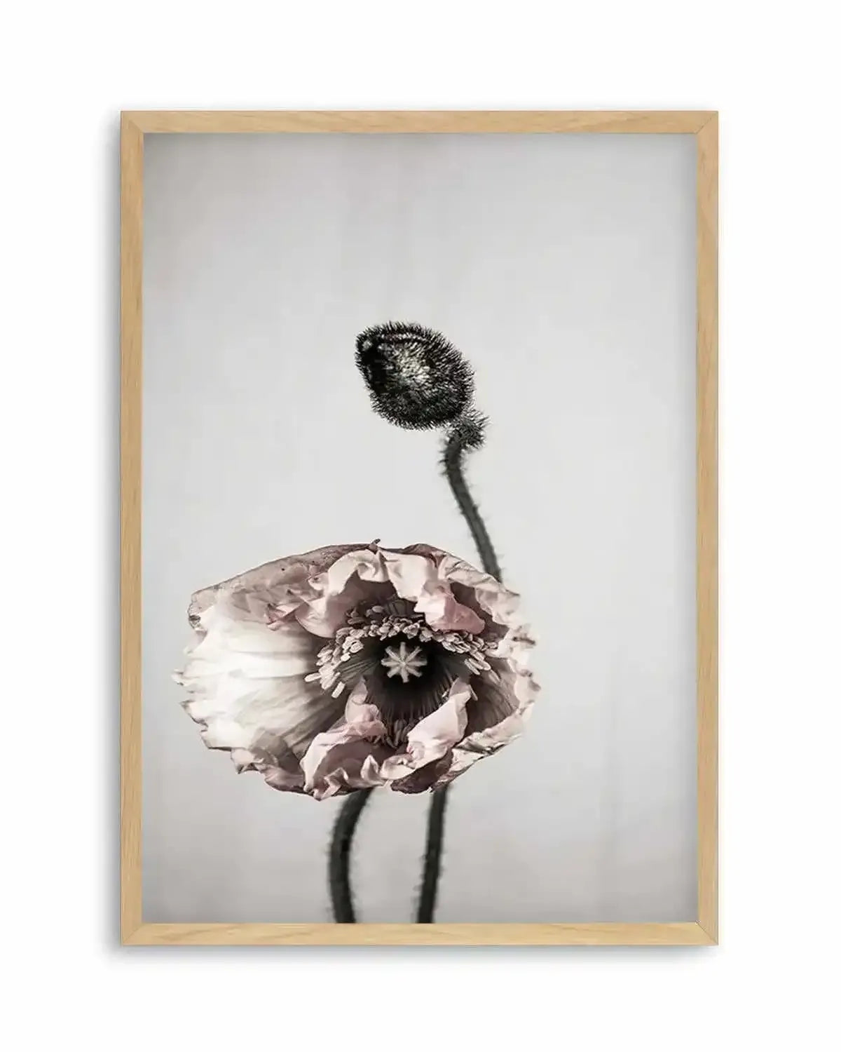 You're All I Need Art Print from Olive et Oriel where you can shop wallpaper and artworks online