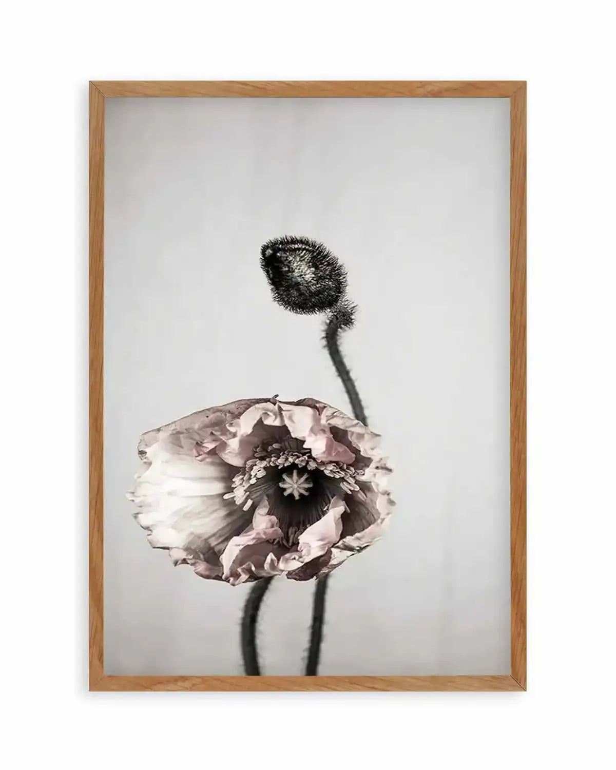 You're All I Need Art Print from Olive et Oriel where you can shop wallpaper and artworks online