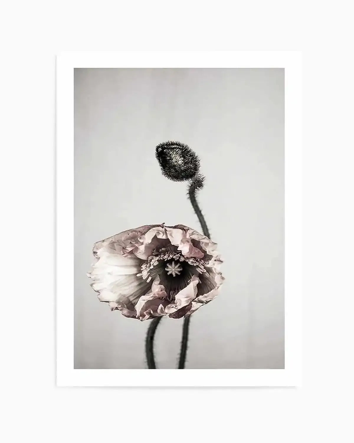 You're All I Need Art Print from Olive et Oriel where you can shop wallpaper and artworks online
