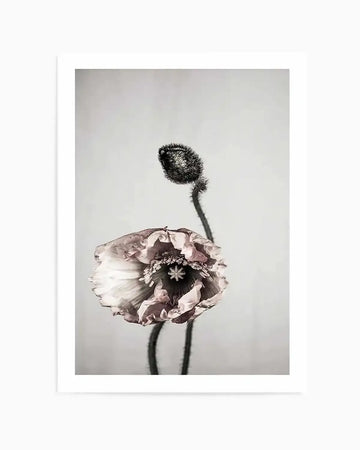 You're All I Need Art Print art print, framed