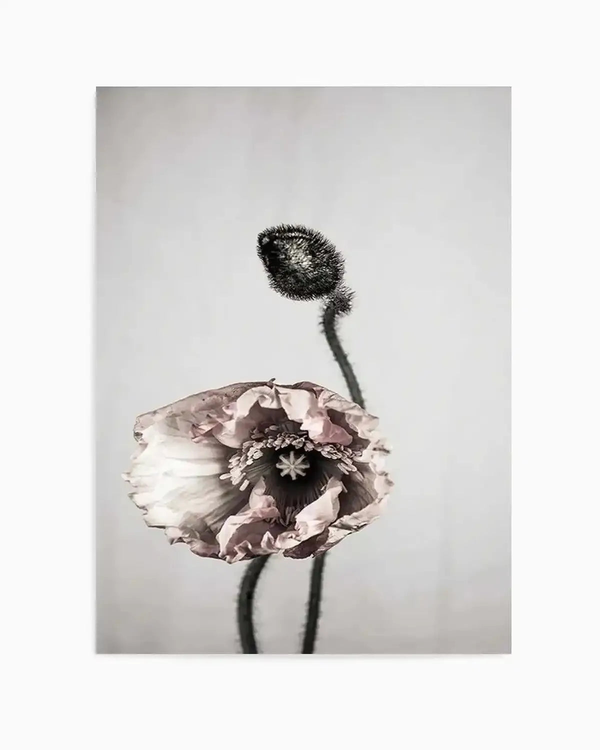 You're All I Need Art Print from Olive et Oriel where you can shop wallpaper and artworks online