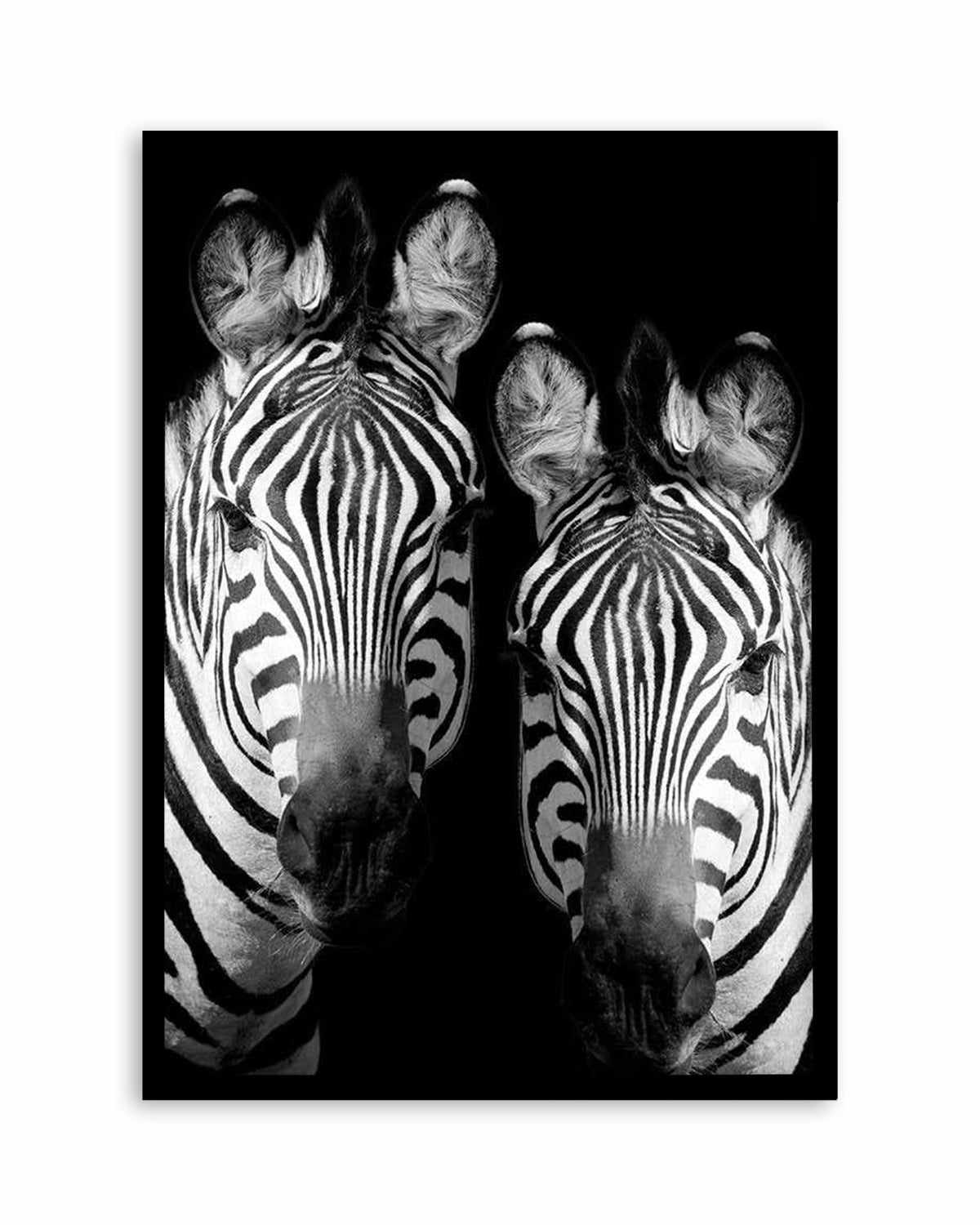 Zebra De Nuit | PT Art Print