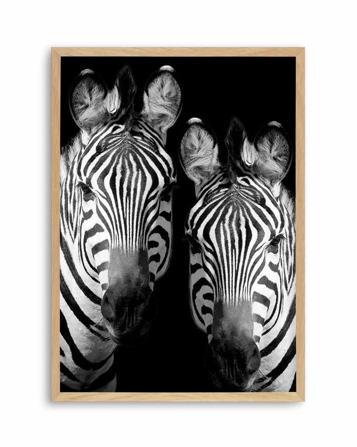 Zebra De Nuit | PT Art Print