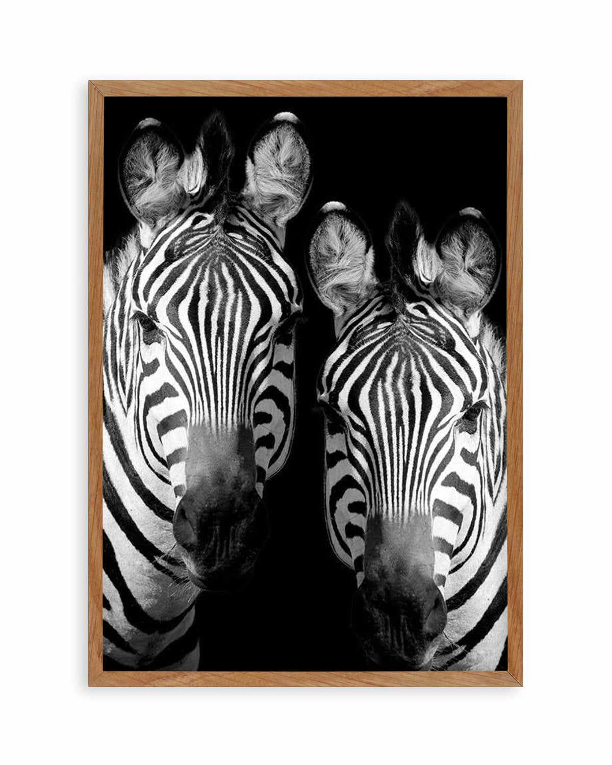 Zebra De Nuit | PT Art Print