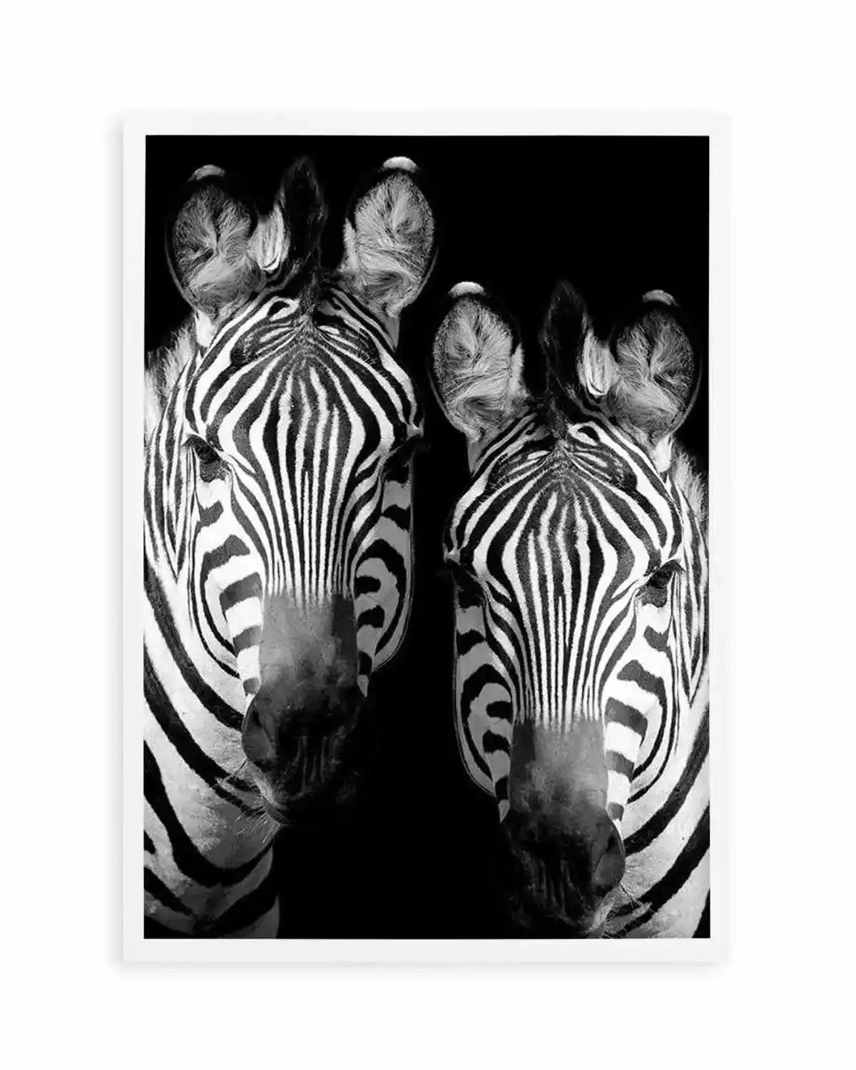 Zebra De Nuit | PT Art Print from Olive et Oriel where you can shop wallpaper and artworks online