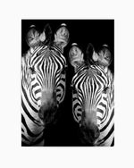Zebra De Nuit | PT Art Print