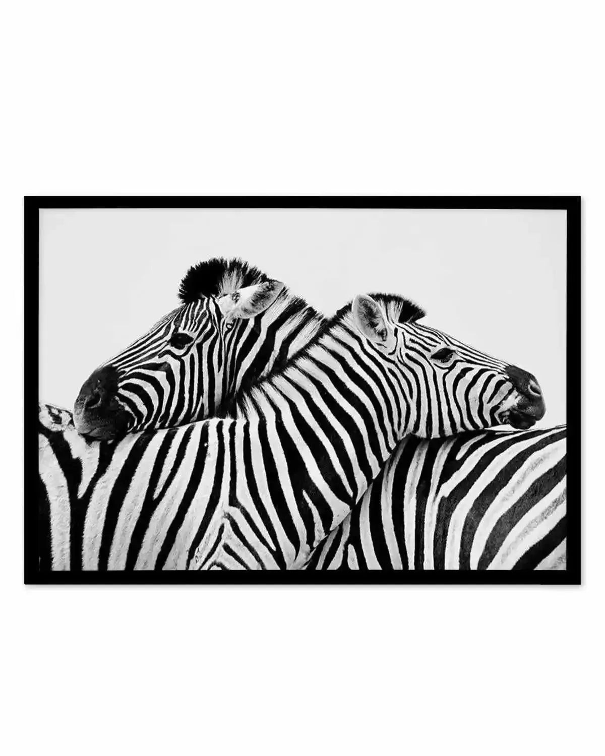 Zebras Embrace | LS Art Print from Olive et Oriel where you can shop wallpaper and artworks online