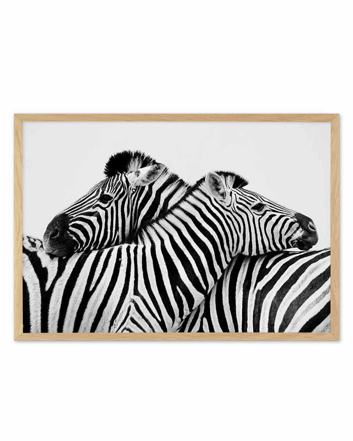 Zebras Embrace | LS Art Print