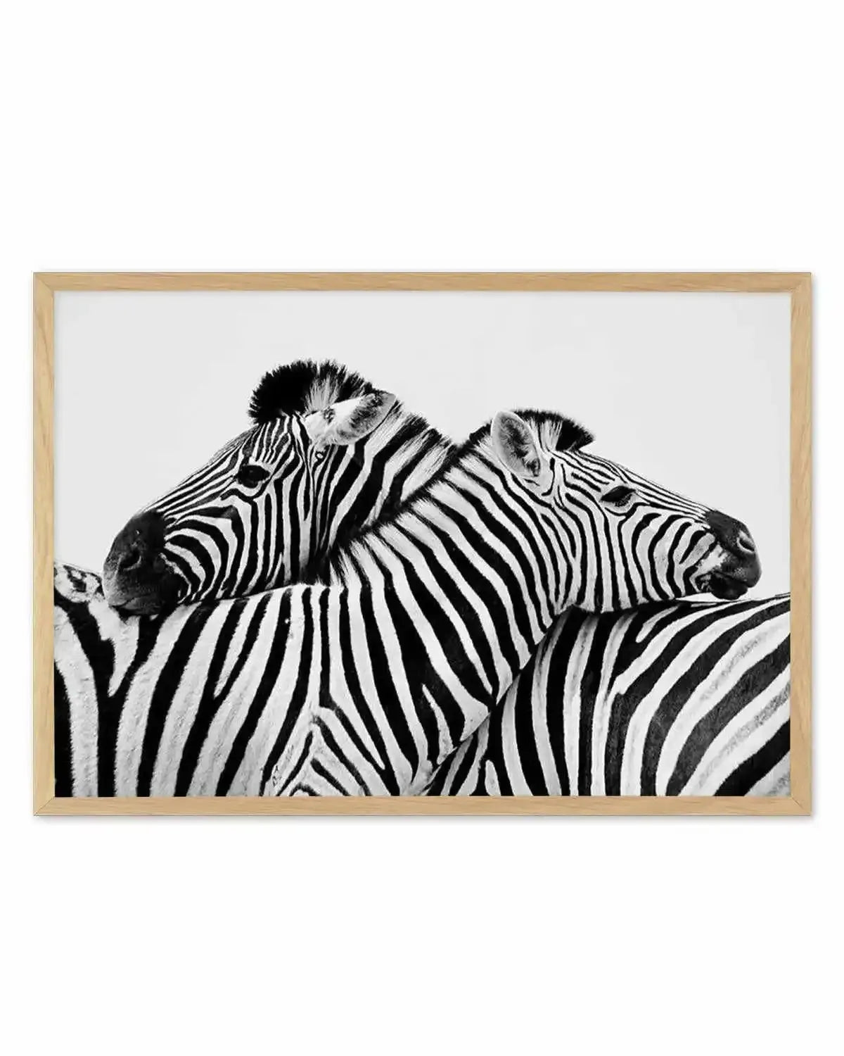 Zebras Embrace | LS Art Print from Olive et Oriel where you can shop wallpaper and artworks online