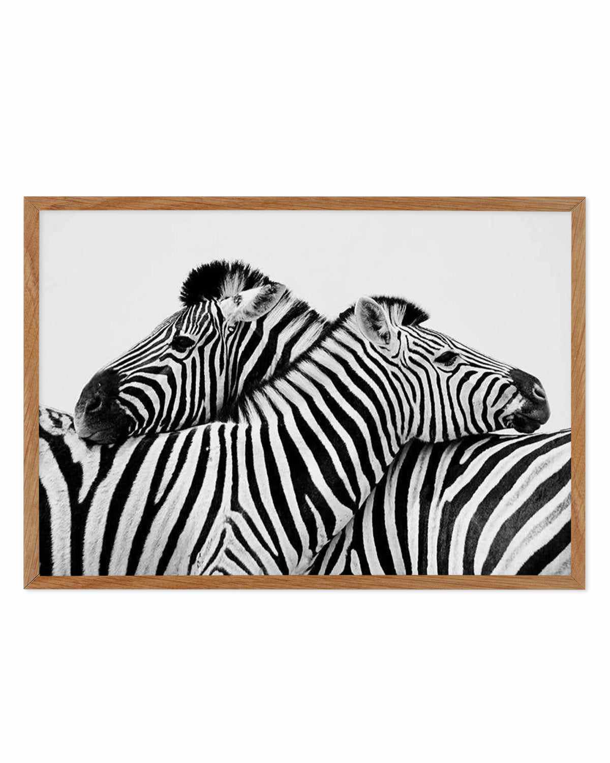 Zebras Embrace | LS Art Print