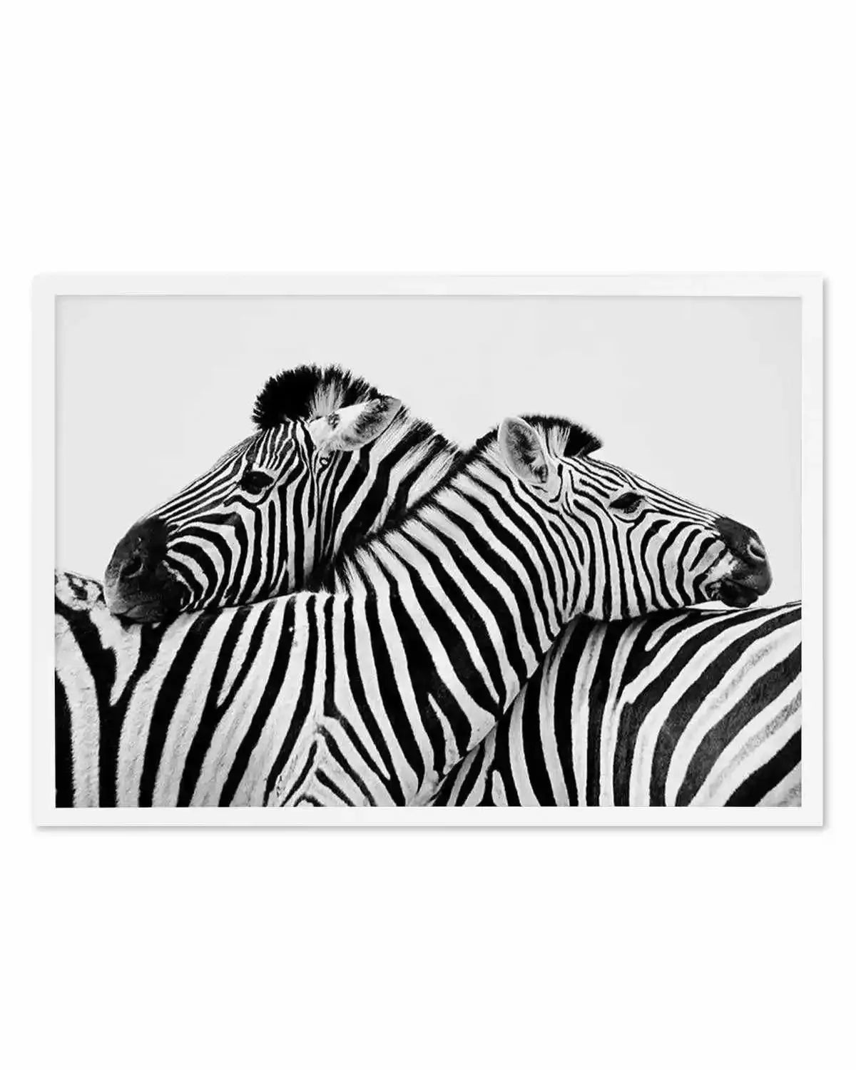 Zebras Embrace | LS Art Print from Olive et Oriel where you can shop wallpaper and artworks online