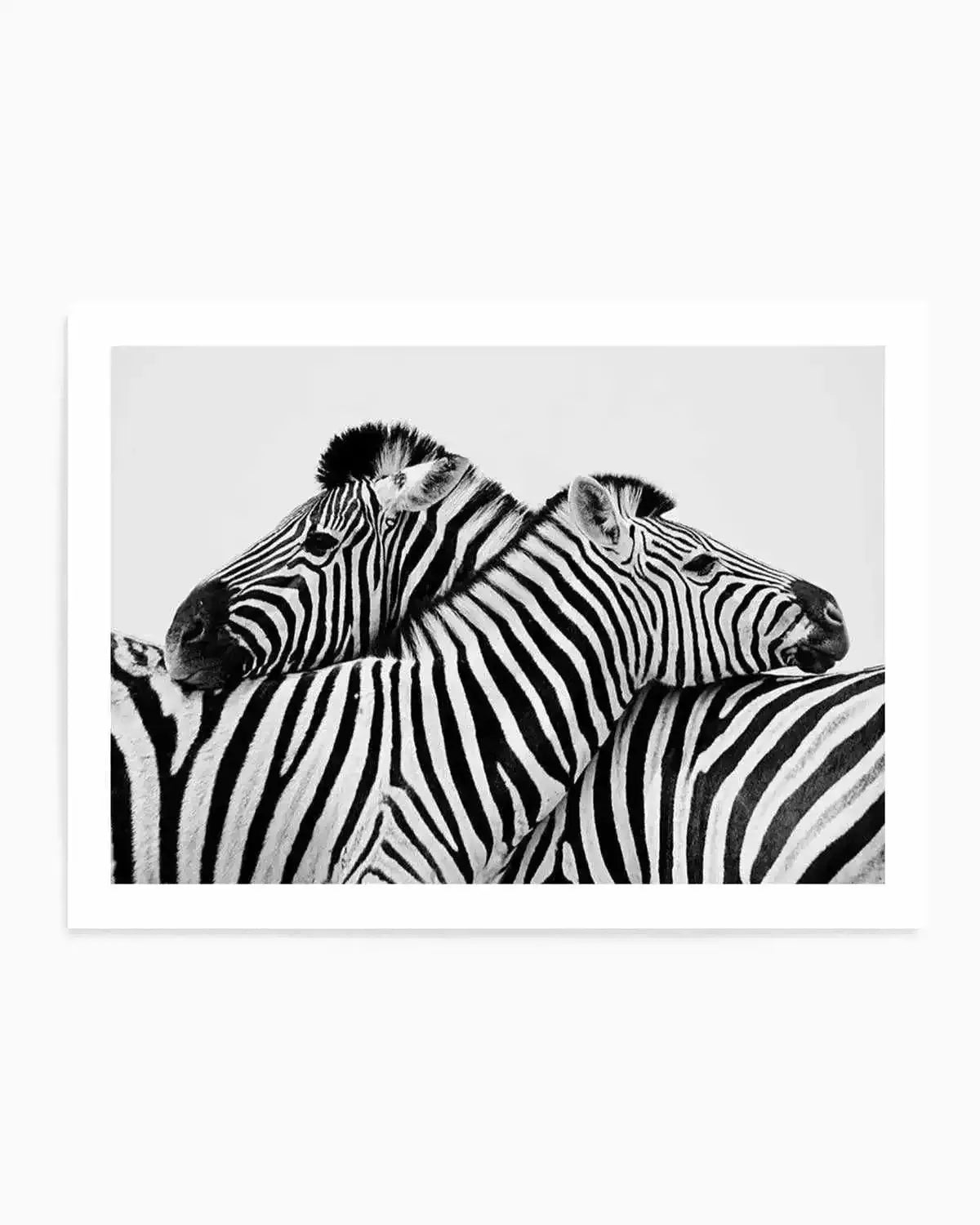 Zebras Embrace | LS Art Print from Olive et Oriel where you can shop wallpaper and artworks online