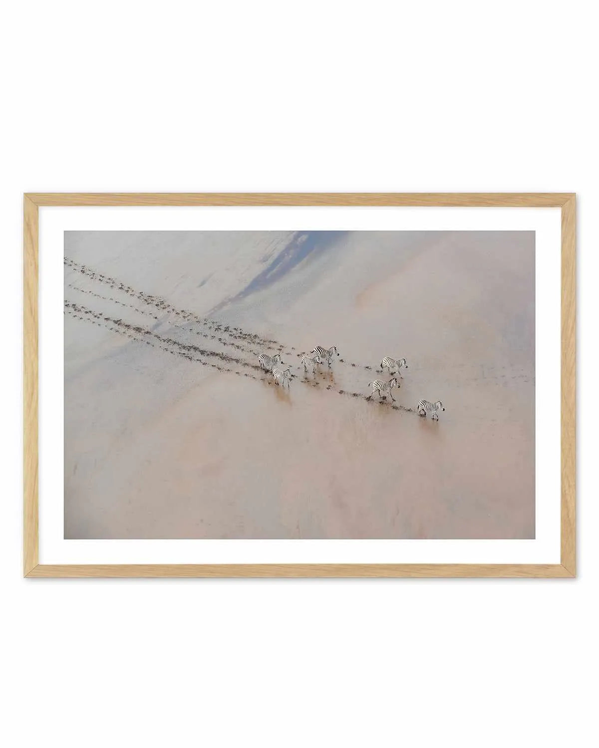 Zebras by Phillip Chang Art Print from Olive et Oriel where you can shop wallpaper and artworks online