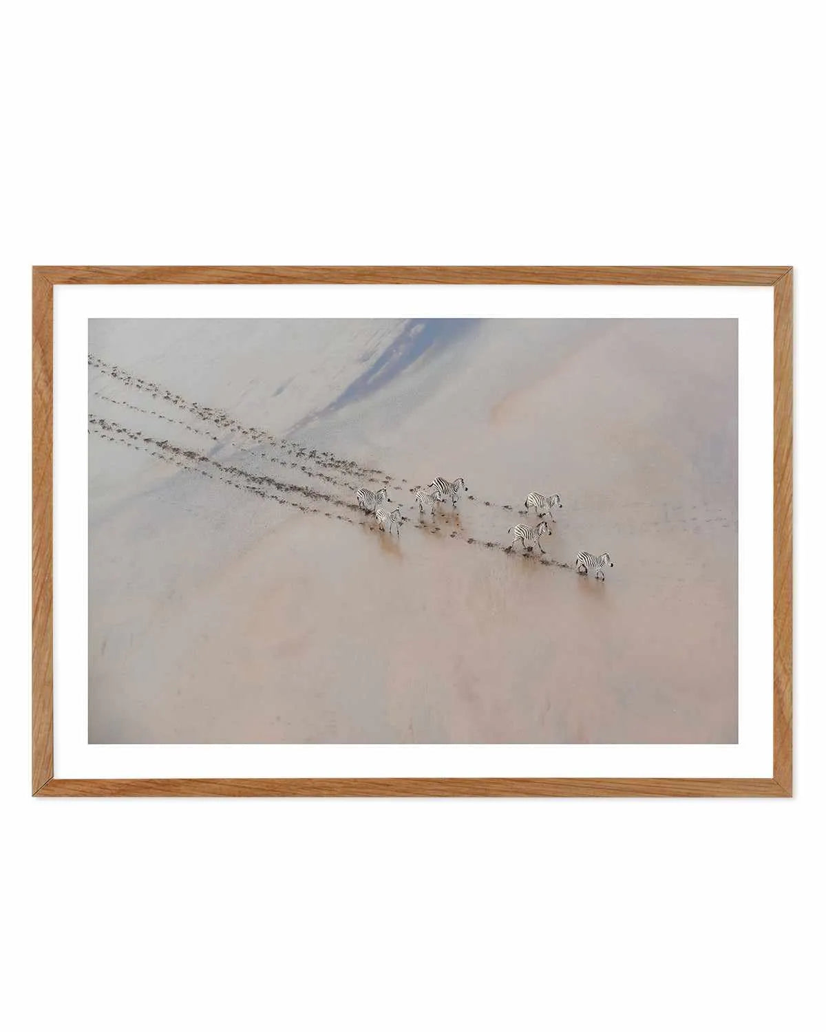 Zebras by Phillip Chang Art Print from Olive et Oriel where you can shop wallpaper and artworks online