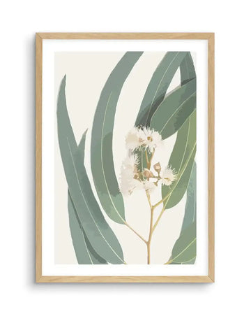 Watercolour art print featuring a cluster of white eucalyptus flowers with fluffy stamens and light green buds, surrounded by large, elongated eucalyptus leaves in muted sage green, all set against a soft cream background, printed on fine art paper and displayed in a natural oak frame with white border.