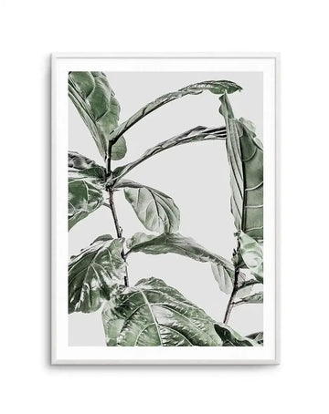 Framed art print featuring a botanical illustration of fig branches with elongated leaves and hanging pod-like fruits in muted sage green and gray tones against a light gray background. The detailed line work captures the delicate veins and organic curves of the foliage. The artwork is presented in a white frame with a white border, creating a minimalist, naturalistic aesthetic.