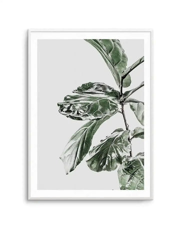 Framed art print featuring a detailed botanical illustration of fig leaves and fruit on a branch. The artwork uses muted sage green and gray tones rendered in a fine, realistic drawing style against a light neutral background. The composition shows layered leaves with visible veining and a central fig fruit with natural creasing and texture. The print is displayed in a silver-toned frame with a white border.