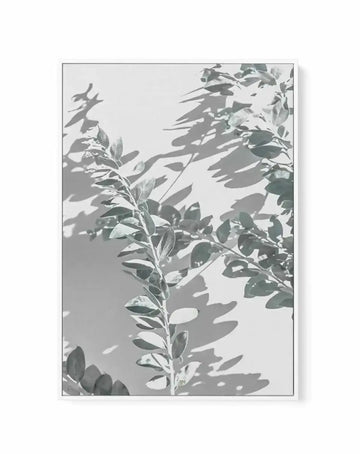 Abstract Leaves II | Framed Canvas-CANVAS-You can shop wall art online with Olive et Oriel for everything from abstract art to fun kids wall art. Our beautiful modern art prints and canvas art are available from large canvas prints to wall art paintings and our proudly Australian artwork collection offers only the highest quality framed large wall art and canvas art Australia - You can buy fashion photography prints or Hampton print posters and paintings on canvas from Olive et Oriel and have th