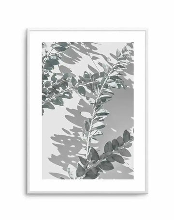 Framed black and white photograph of two leafy branches with strong shadows on a light background, displayed in a white frame with white border. The composition features the branches extending diagonally across the frame, with the leaves and their shadows creating a dynamic interplay of light and dark.