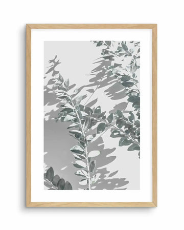 Framed art print featuring an abstract botanical composition in grayscale and muted sage green tones. The image shows layered foliage and plant stems with soft, dappled shadows cast across the composition, creating depth and dimension. The photograph-like quality captures delicate leaves in various states of focus, with naturalistic lighting that emphasizes texture and form. Presented in a natural wood frame with a white border surrounding the print.