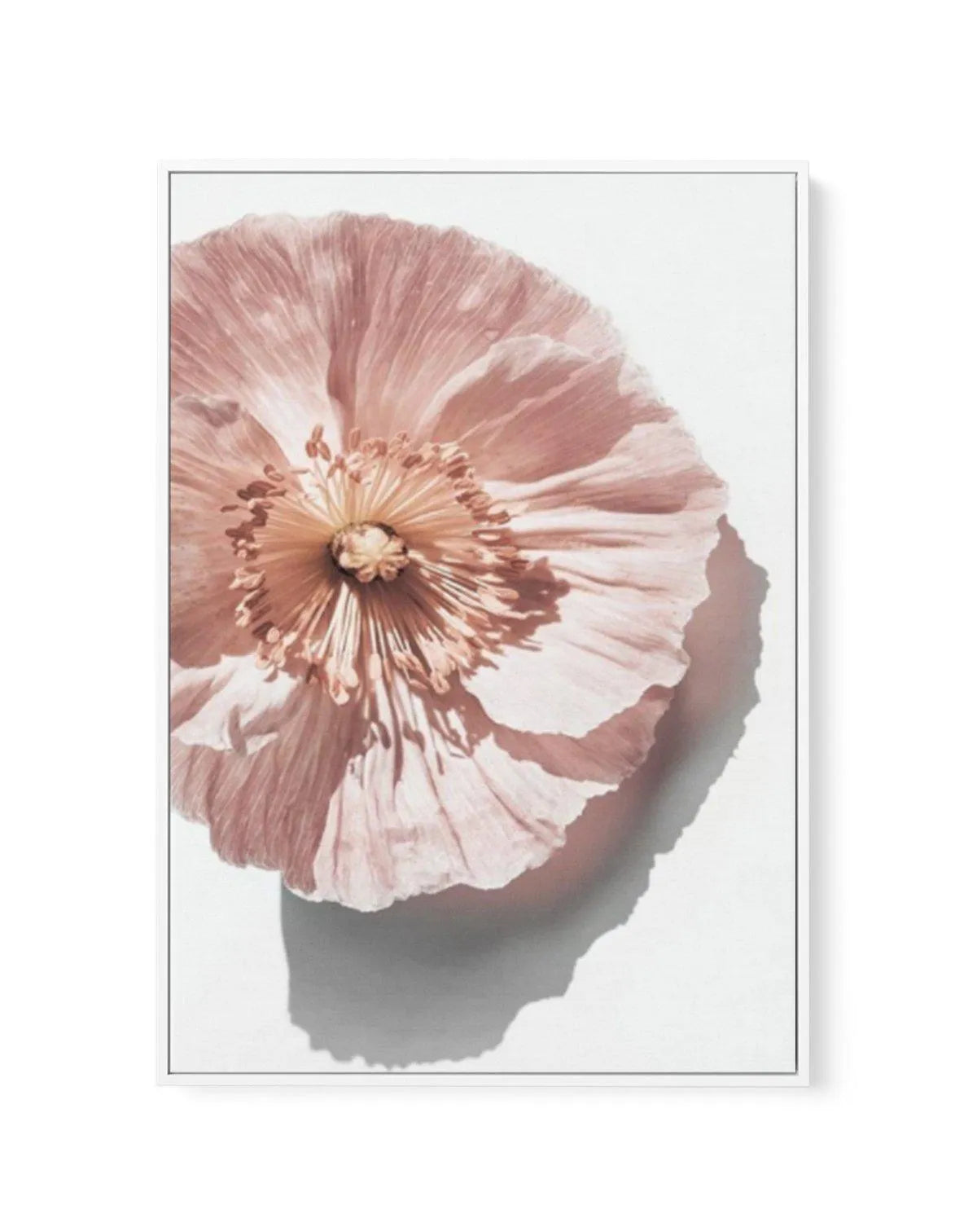 Abstract Poppies III | Framed Canvas-CANVAS-You can shop wall art online with Olive et Oriel for everything from abstract art to fun kids wall art. Our beautiful modern art prints and canvas art are available from large canvas prints to wall art paintings and our proudly Australian artwork collection offers only the highest quality framed large wall art and canvas art Australia - You can buy fashion photography prints or Hampton print posters and paintings on canvas from Olive et Oriel and have 