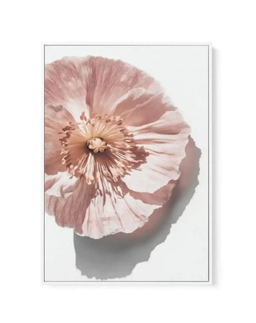 Abstract Poppies III | Framed Canvas-CANVAS-You can shop wall art online with Olive et Oriel for everything from abstract art to fun kids wall art. Our beautiful modern art prints and canvas art are available from large canvas prints to wall art paintings and our proudly Australian artwork collection offers only the highest quality framed large wall art and canvas art Australia - You can buy fashion photography prints or Hampton print posters and paintings on canvas from Olive et Oriel and have 