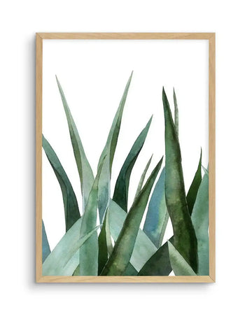 Watercolour art print featuring a cluster of agave plant leaves in varying shades of green, from pale sage to deep emerald, with visible brushstroke texture and sharp, pointed tips, displayed in a natural oak frame with white border.