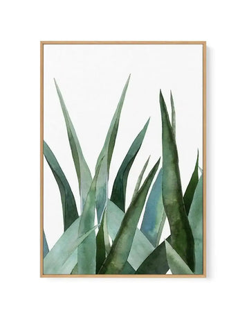 Watercolour painting of agave plant leaves in shades of sage green, forest green, and dusty blue-grey, with pointed upright fronds overlapping against a white background. The artwork is displayed in a natural wood frame with a white border, shown as a vertical canvas print.