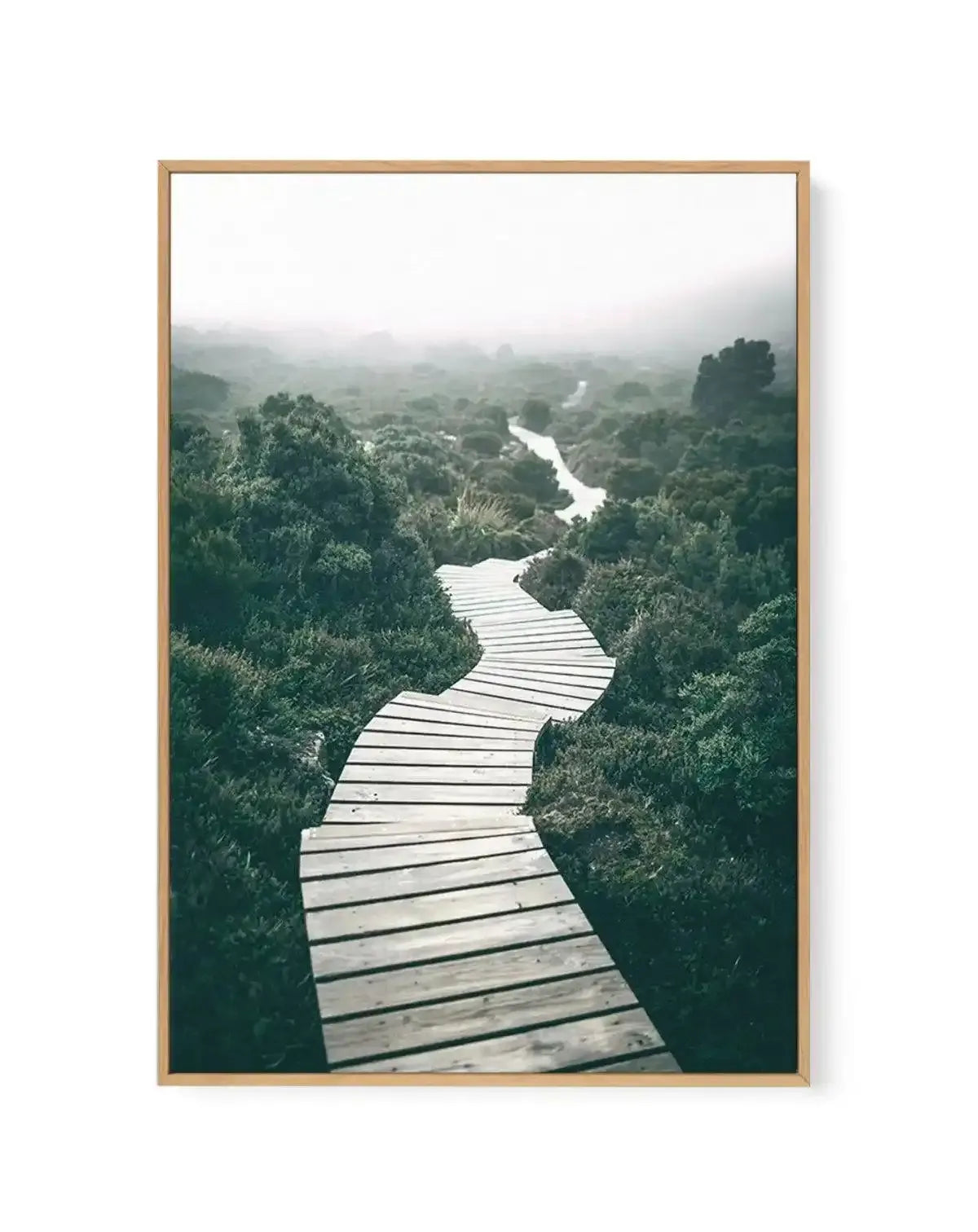 Along The Tracks | Tasmania | Framed Canvas-CANVAS-You can shop wall art online with Olive et Oriel for everything from abstract art to fun kids wall art. Our beautiful modern art prints and canvas art are available from large canvas prints to wall art paintings and our proudly Australian artwork collection offers only the highest quality framed large wall art and canvas art Australia - You can buy fashion photography prints or Hampton print posters and paintings on canvas from Olive et Oriel an