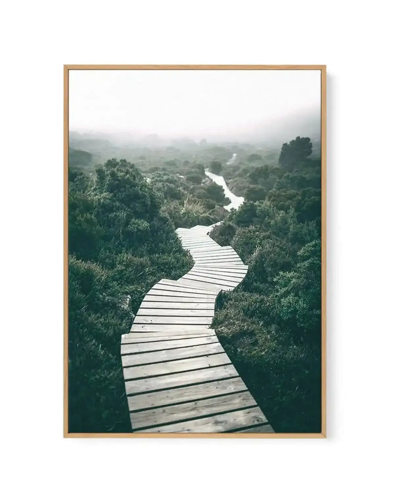 Along The Tracks | Tasmania | Framed Canvas-CANVAS-You can shop wall art online with Olive et Oriel for everything from abstract art to fun kids wall art. Our beautiful modern art prints and canvas art are available from large canvas prints to wall art paintings and our proudly Australian artwork collection offers only the highest quality framed large wall art and canvas art Australia - You can buy fashion photography prints or Hampton print posters and paintings on canvas from Olive et Oriel an