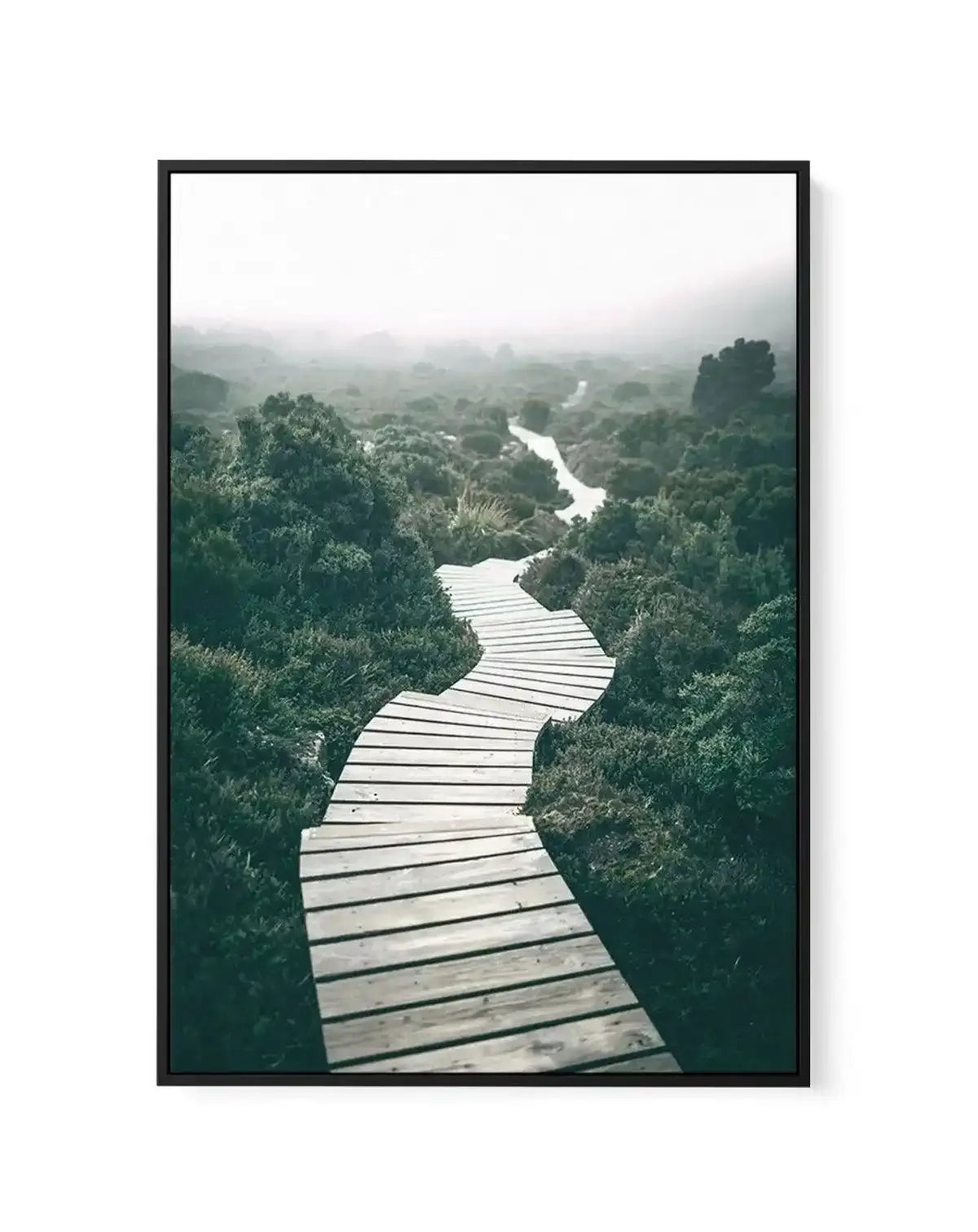 Along The Tracks | Tasmania | Framed Canvas-CANVAS-You can shop wall art online with Olive et Oriel for everything from abstract art to fun kids wall art. Our beautiful modern art prints and canvas art are available from large canvas prints to wall art paintings and our proudly Australian artwork collection offers only the highest quality framed large wall art and canvas art Australia - You can buy fashion photography prints or Hampton print posters and paintings on canvas from Olive et Oriel an